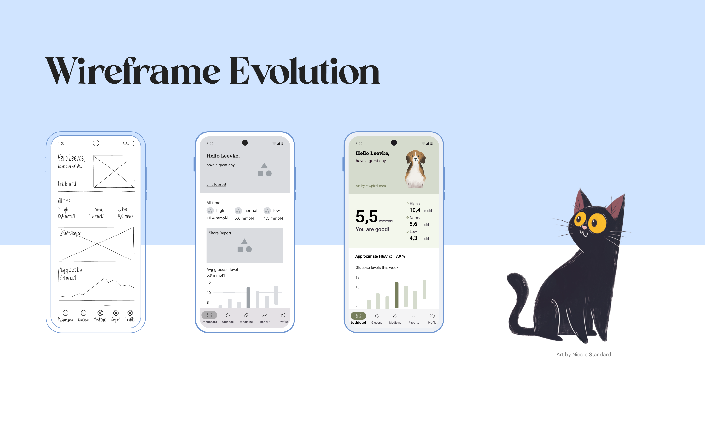 Wireframe evolution